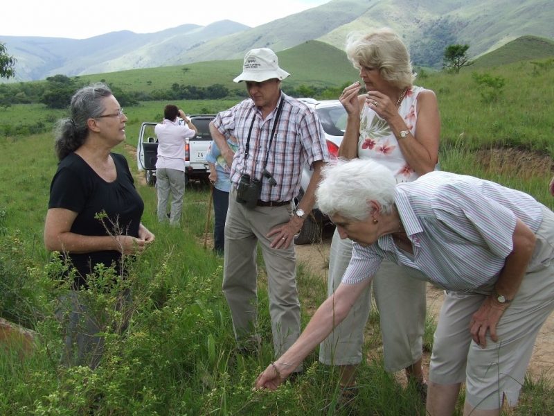 Members of the Lowveld Botanical Society recently visited Mountainlands. The genus Pavetta was looked at and the floral kingdom, animals with their young and good weather formed an excellent backdrop to the outing organized by Ina Georgala (left on the photo).